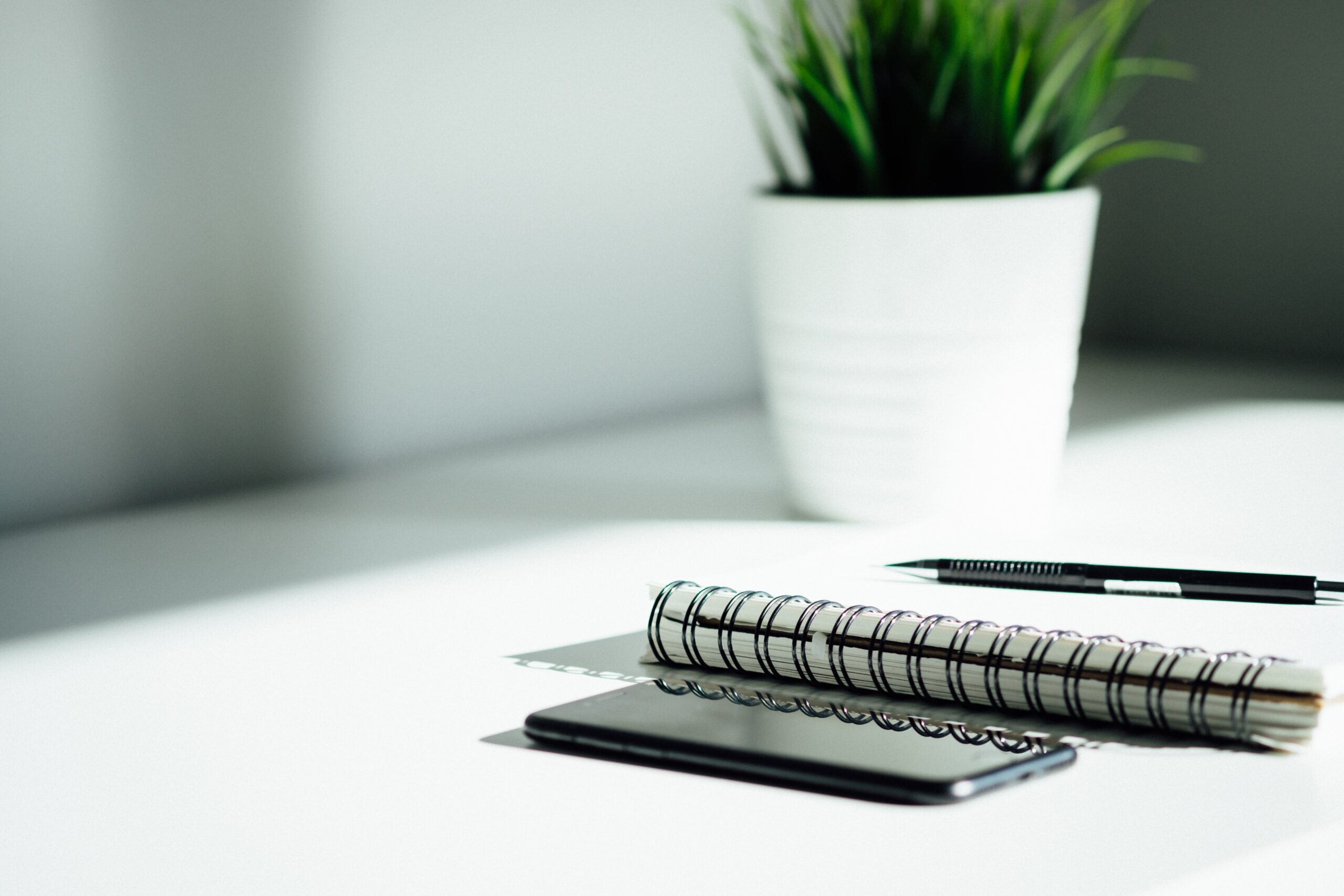 Dose Media BU6JyhSI6zo Unsplash