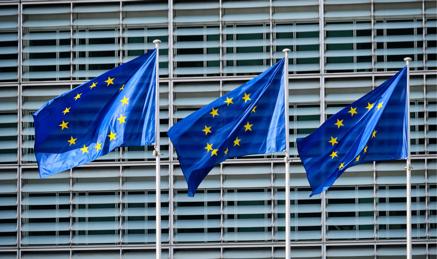 EU Flags